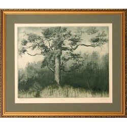 István Sipos: Lonely tree - 30x40cm